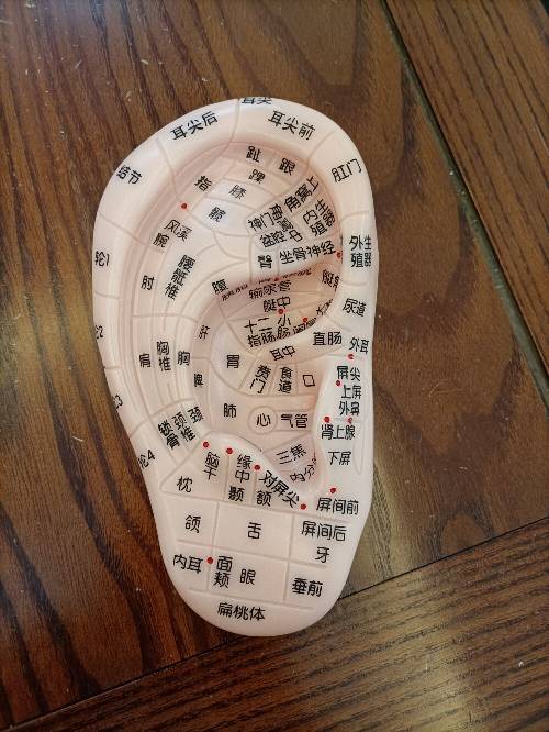 汪滢滢头像