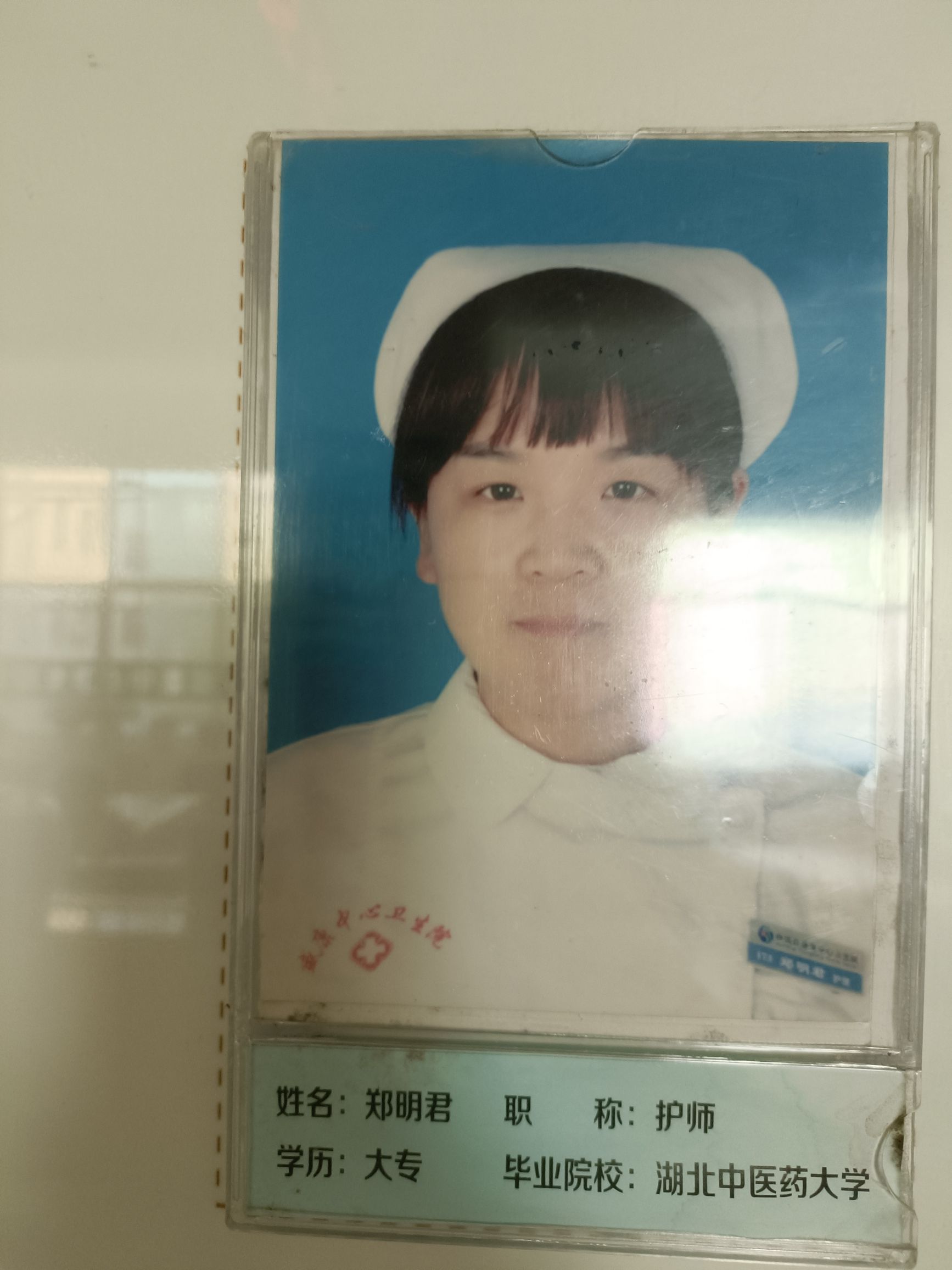 郑明君头像