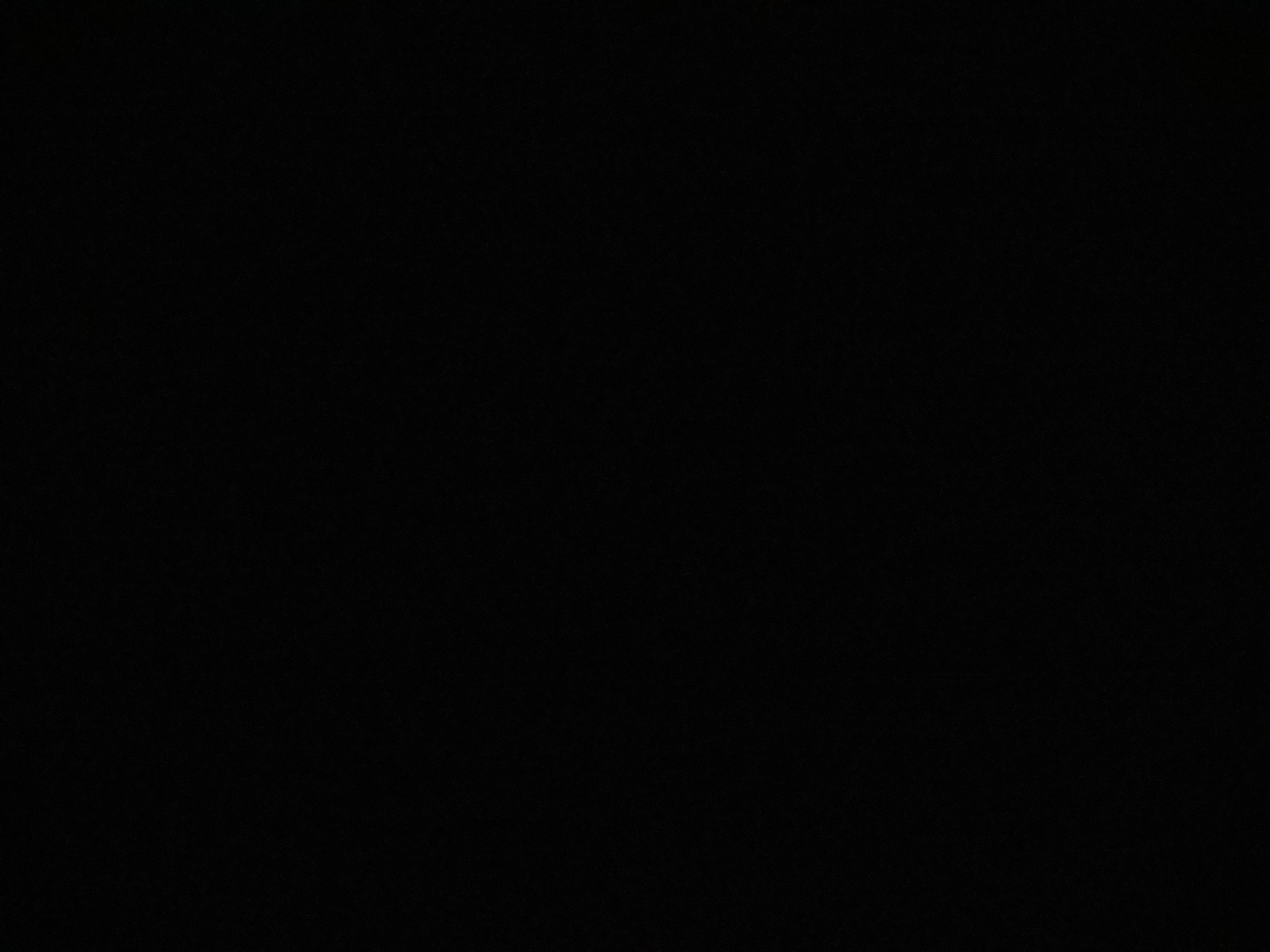 罗晨头像