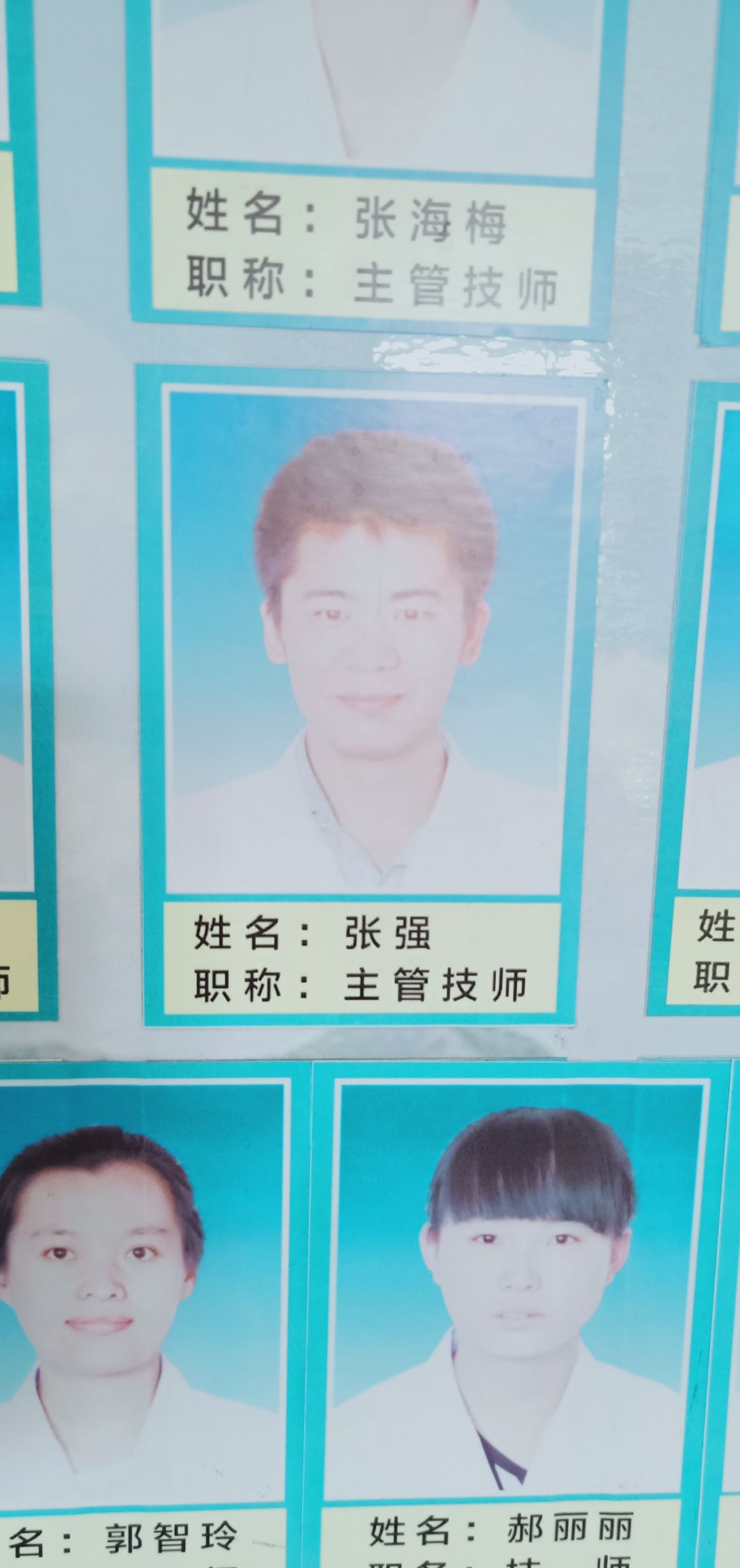 张强头像