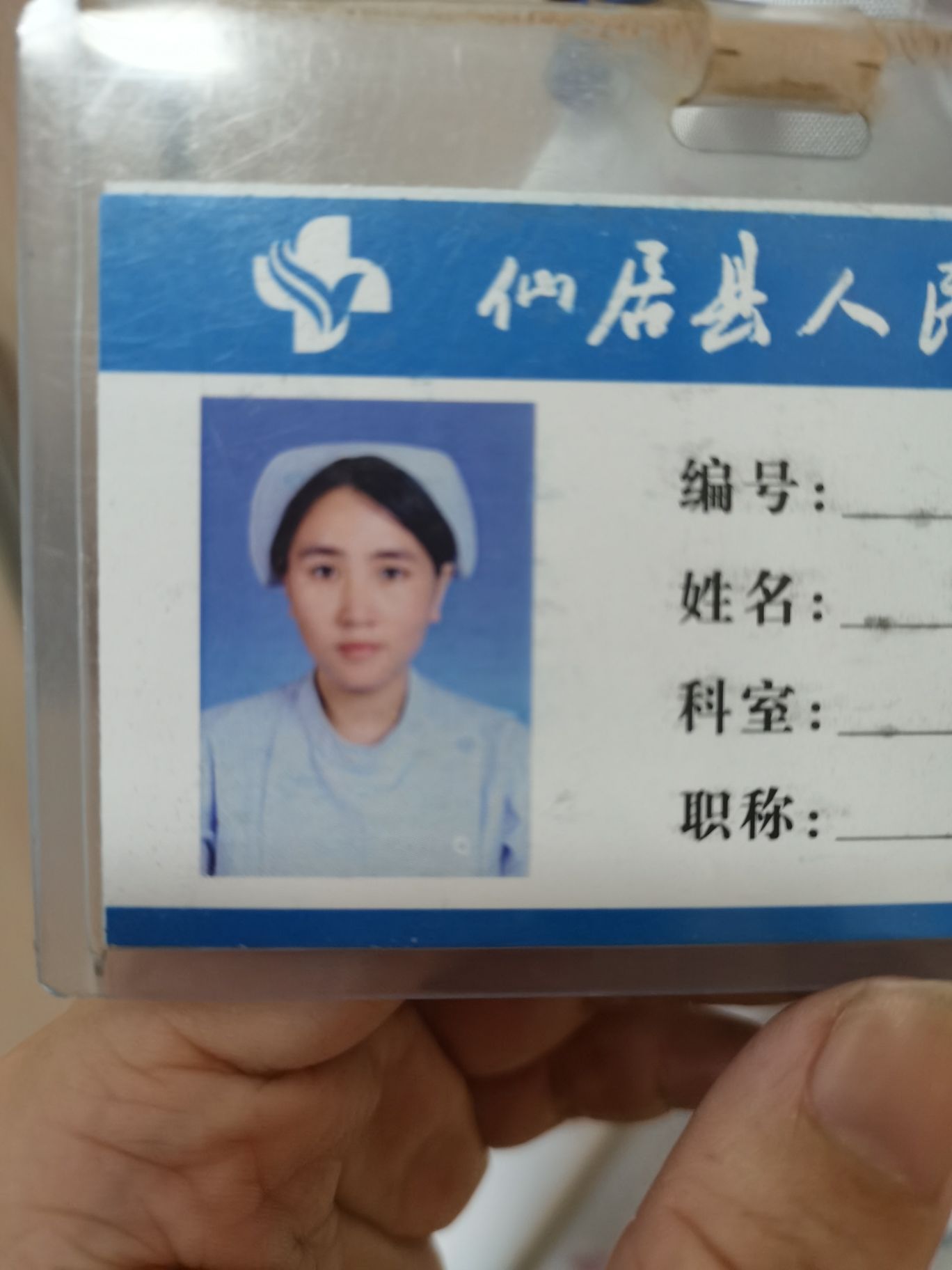 陈海青头像
