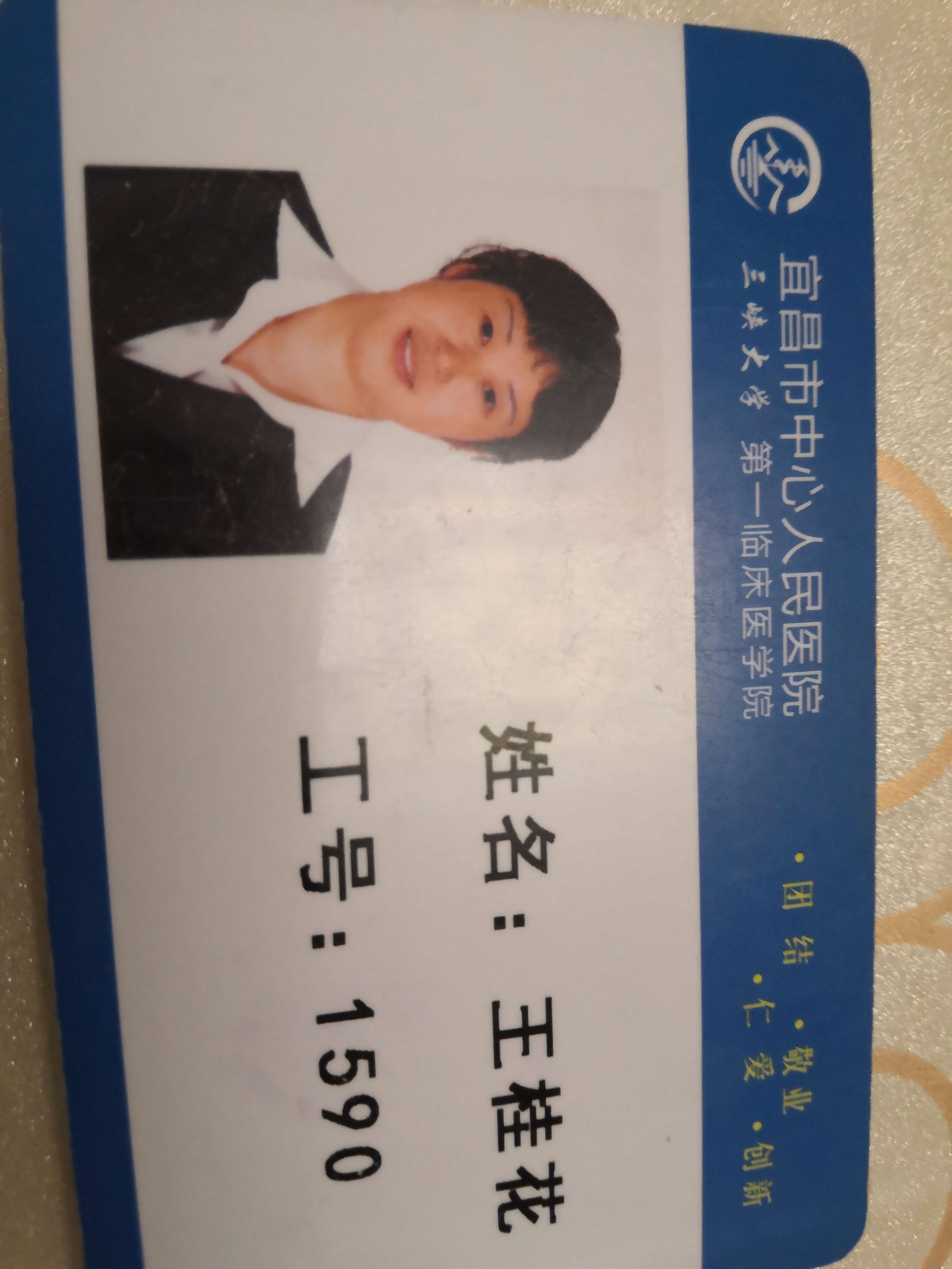 王桂花头像