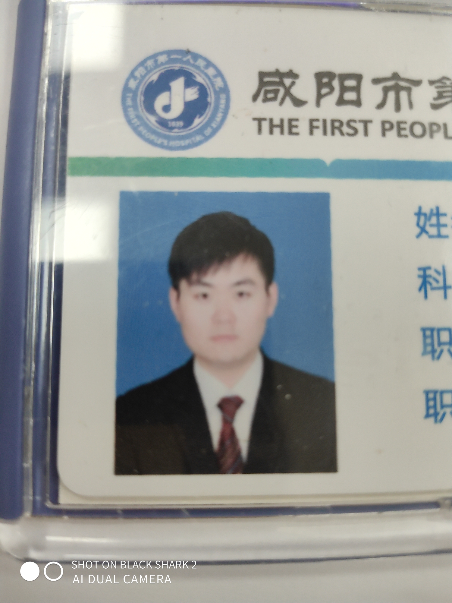 陈治头像