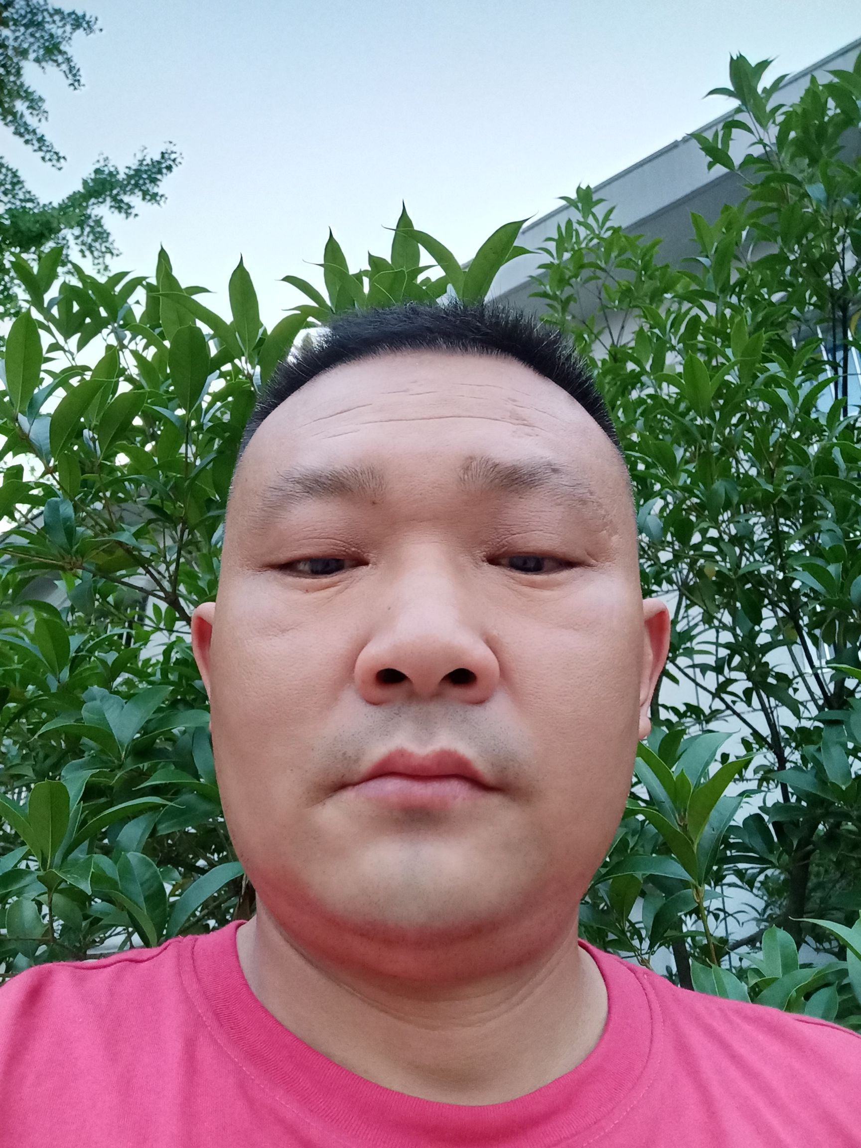 张爱军头像