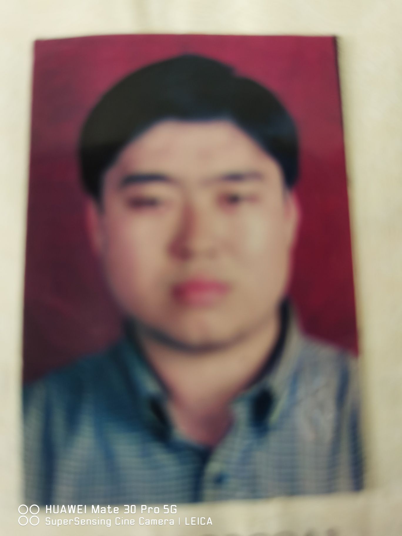 邢守凯头像