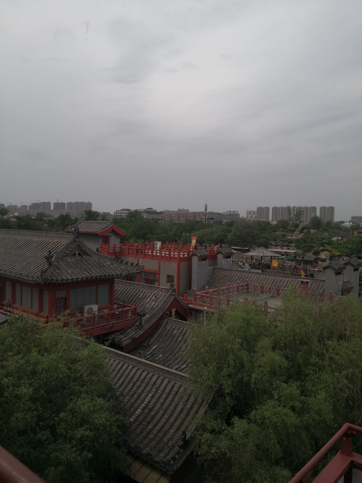 王海宁头像