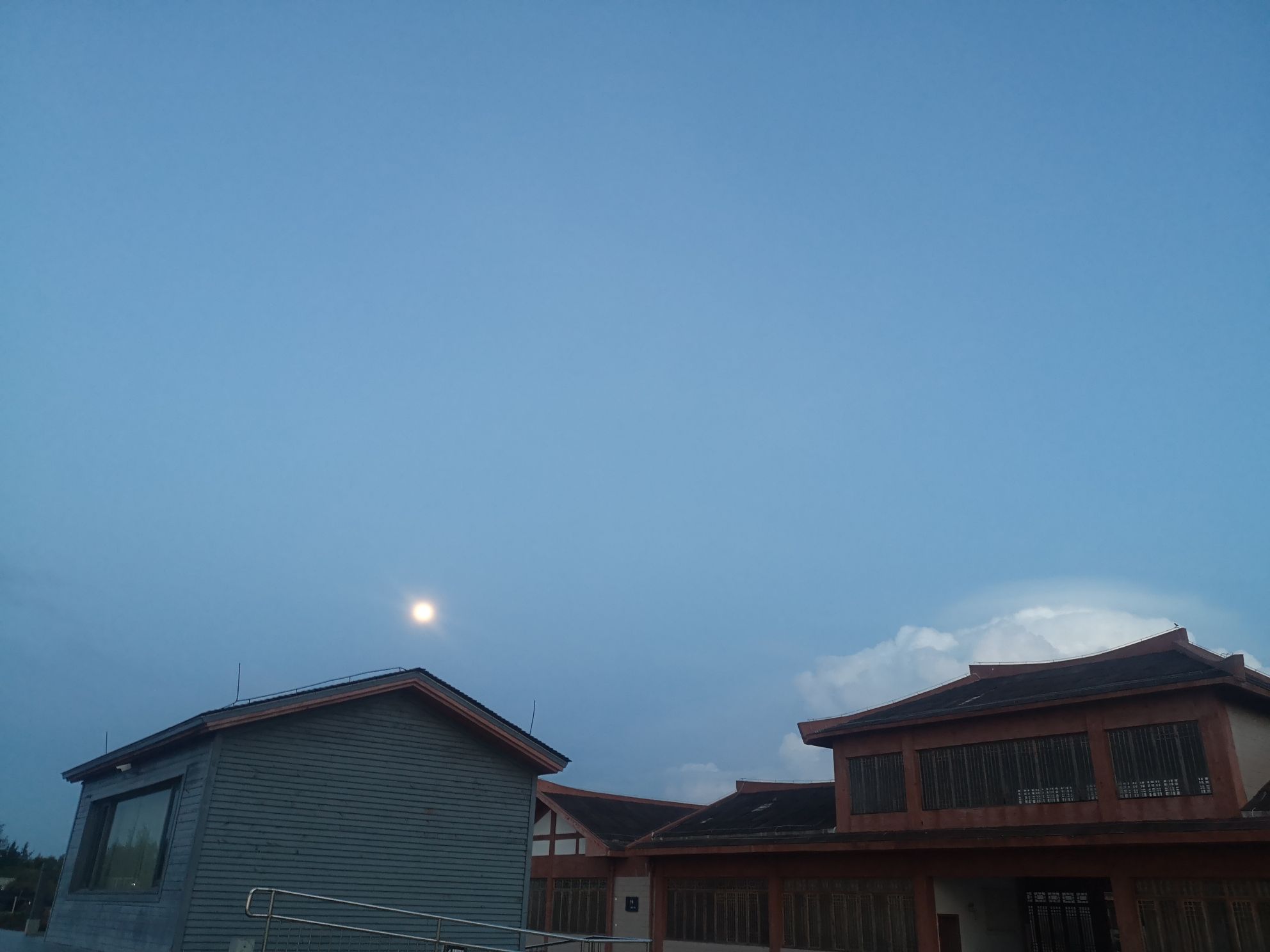雷春富头像