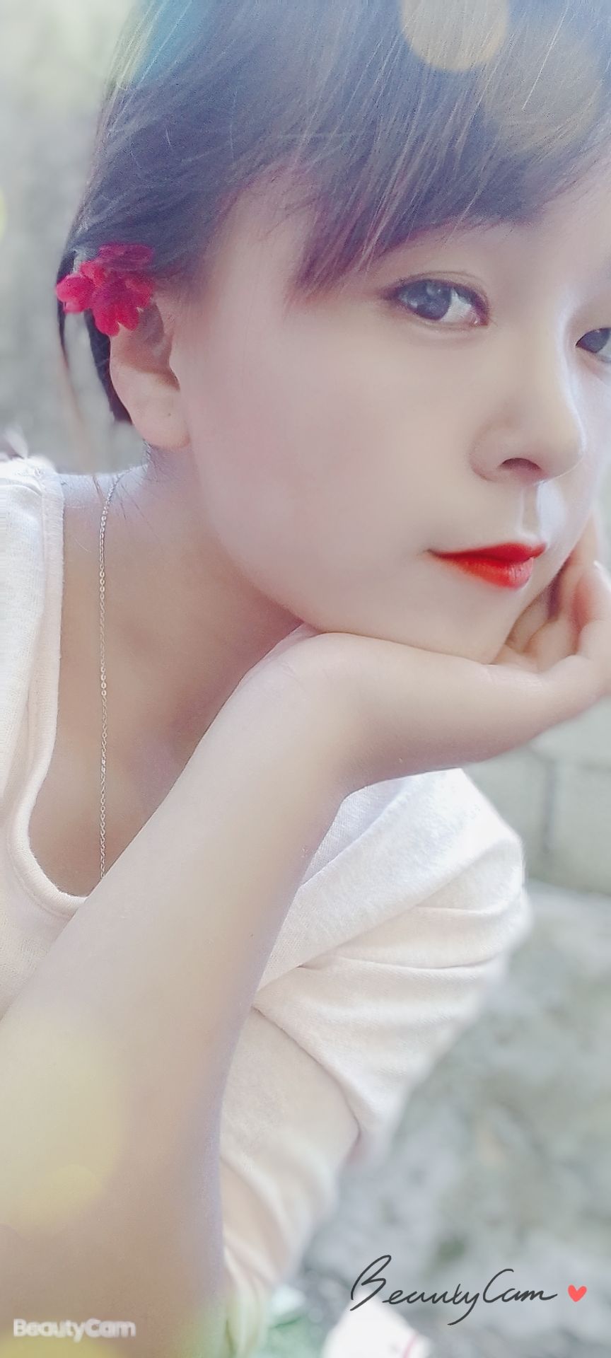 杨宗琼头像
