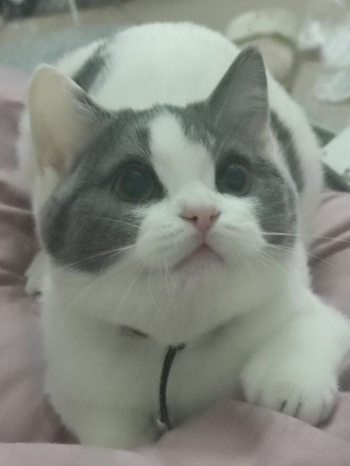余仁生头像