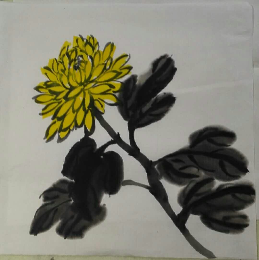 何高燕头像