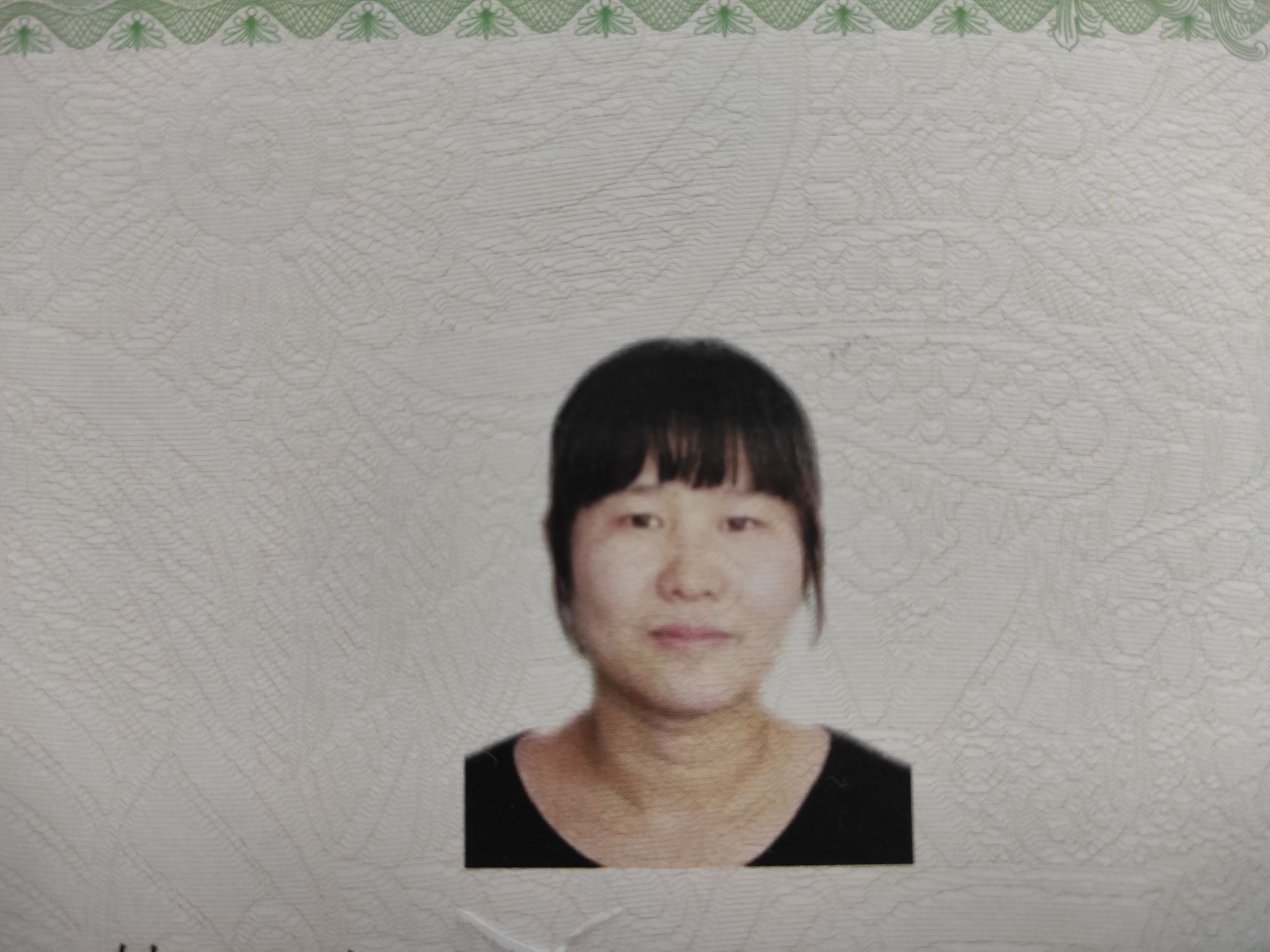 胡鹤头像