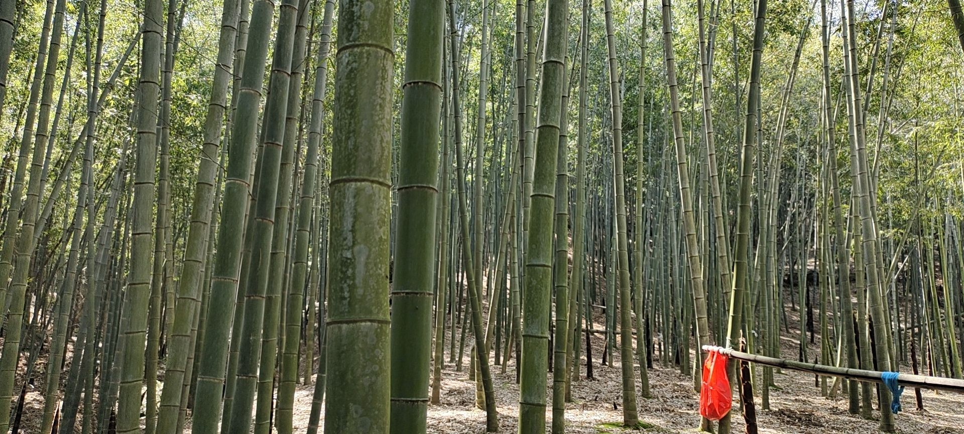 郑琦超头像
