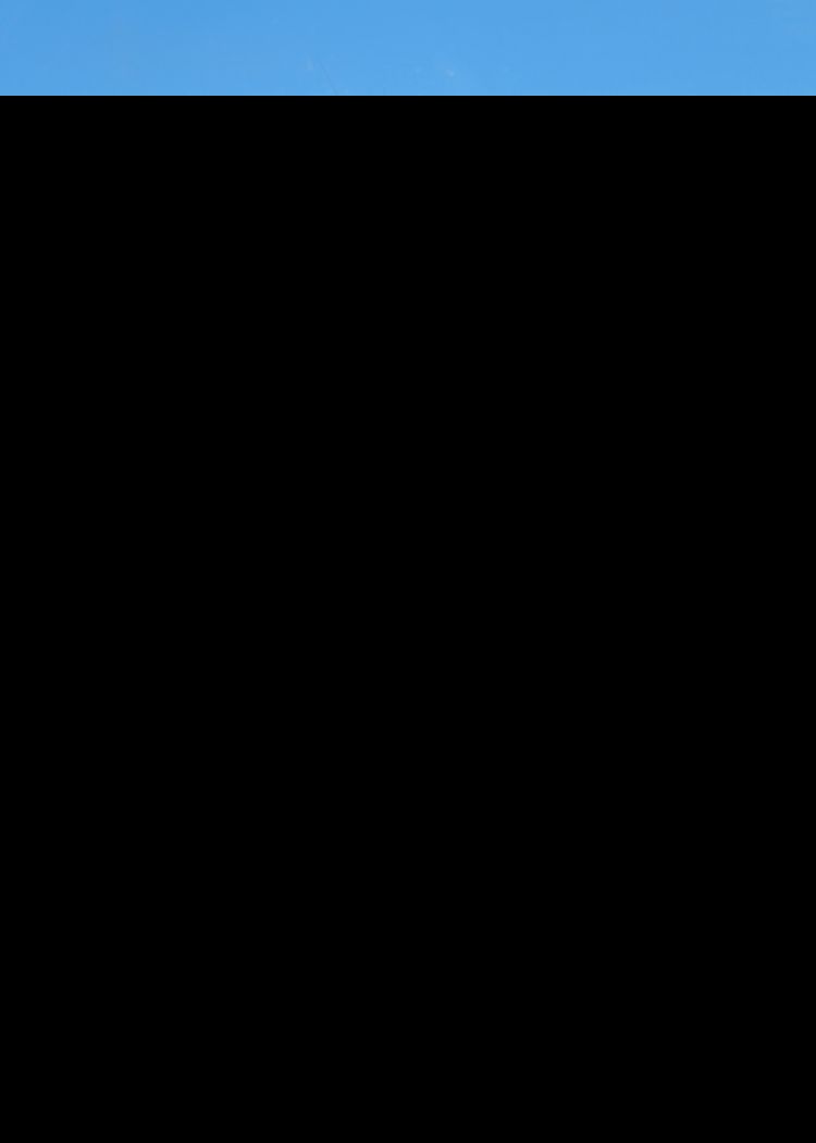 陈蕾头像