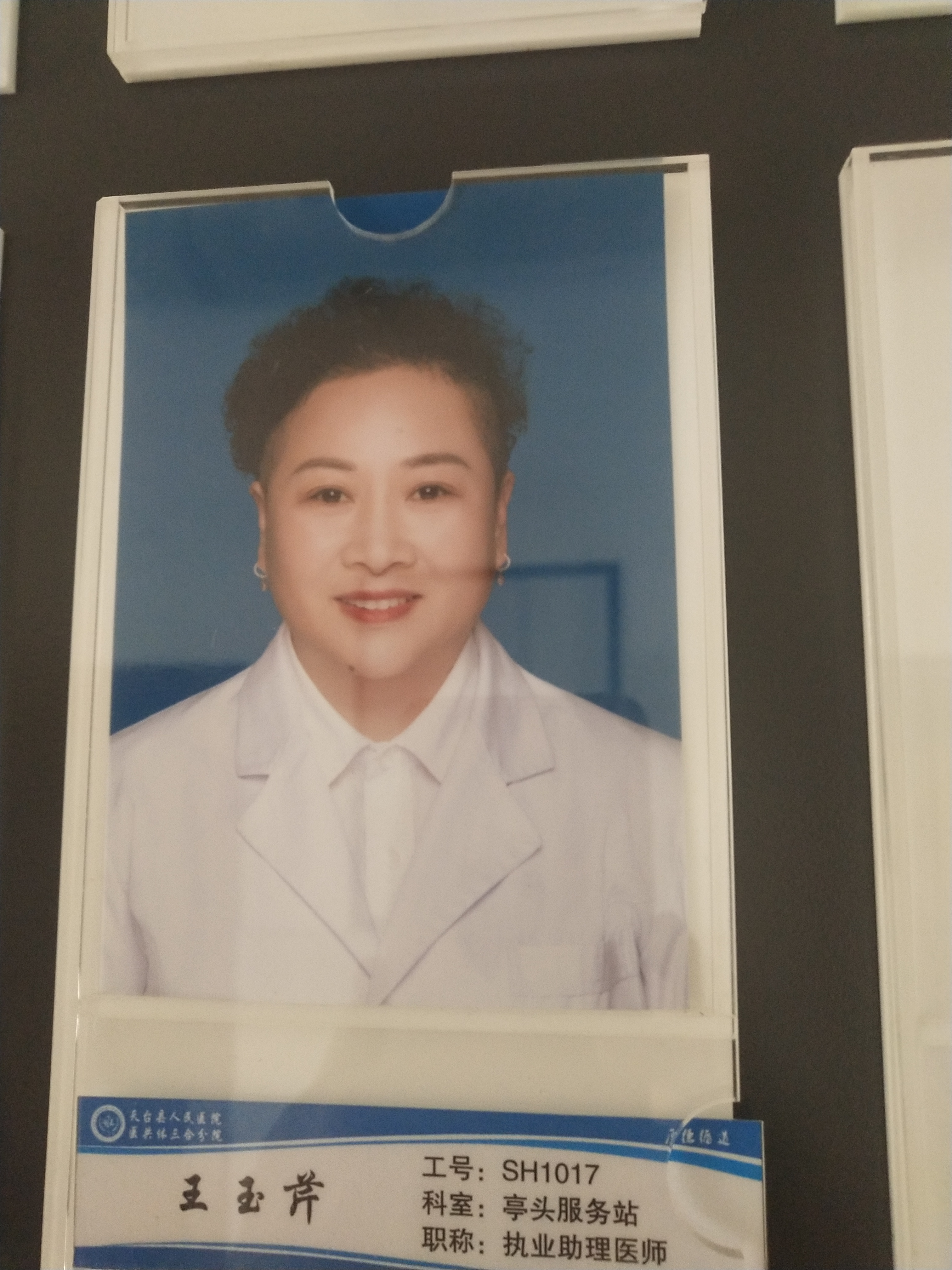 王玉芹头像