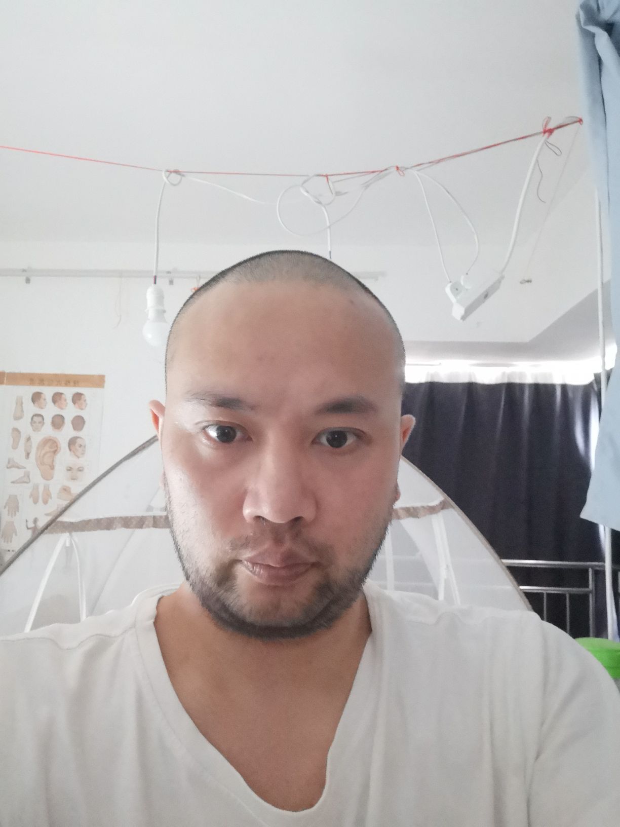赵子豪头像
