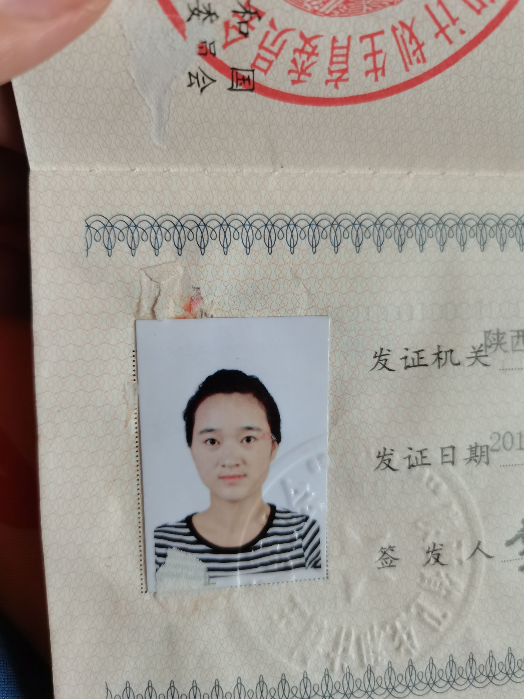 陈叶叶头像