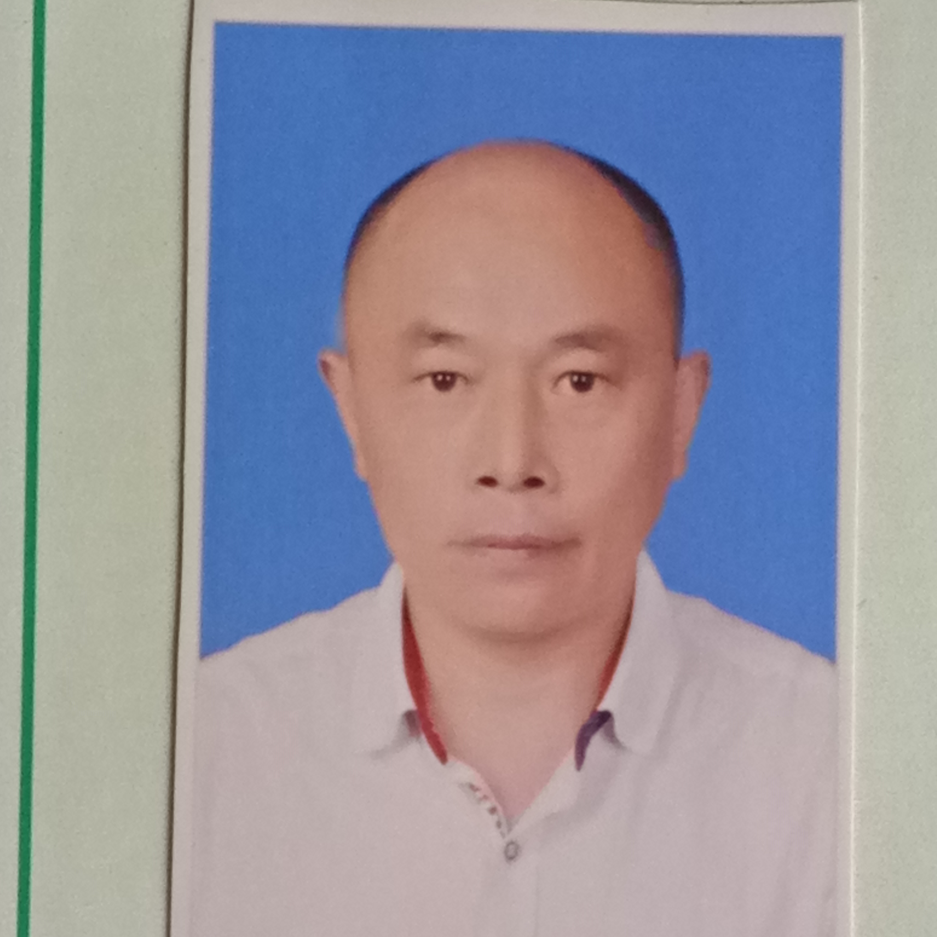 杨小林头像