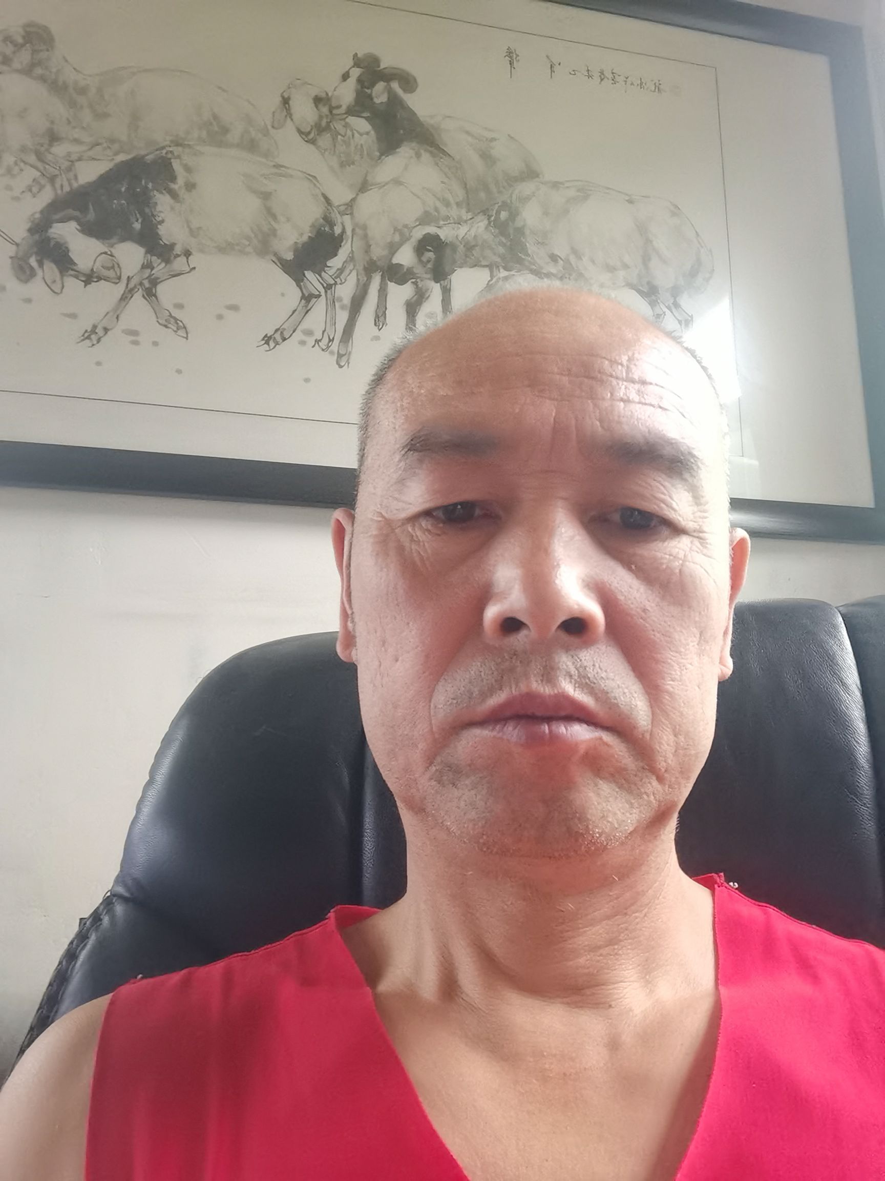 杨桂林头像