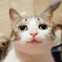 胡青头像