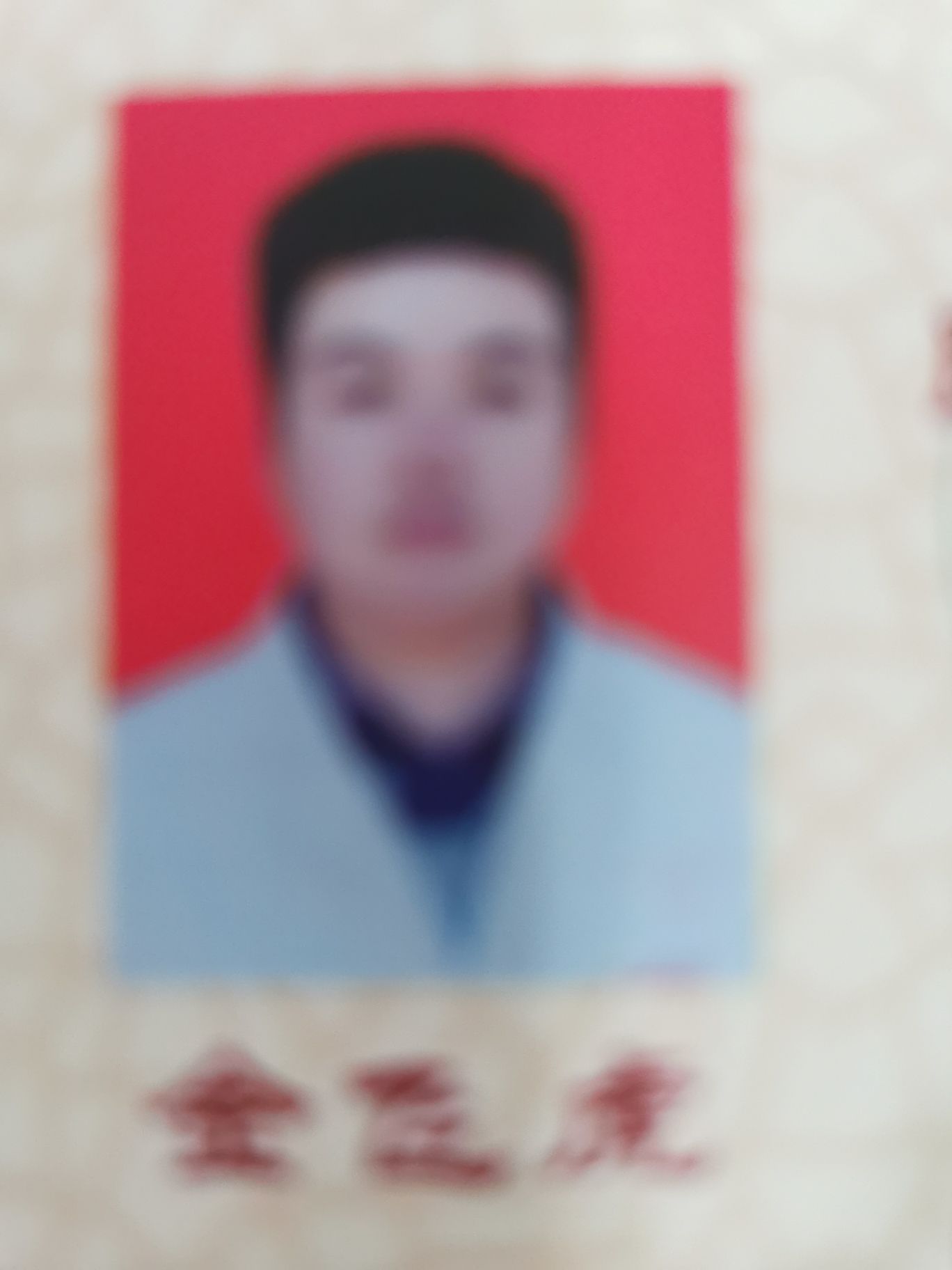 金飞虎头像