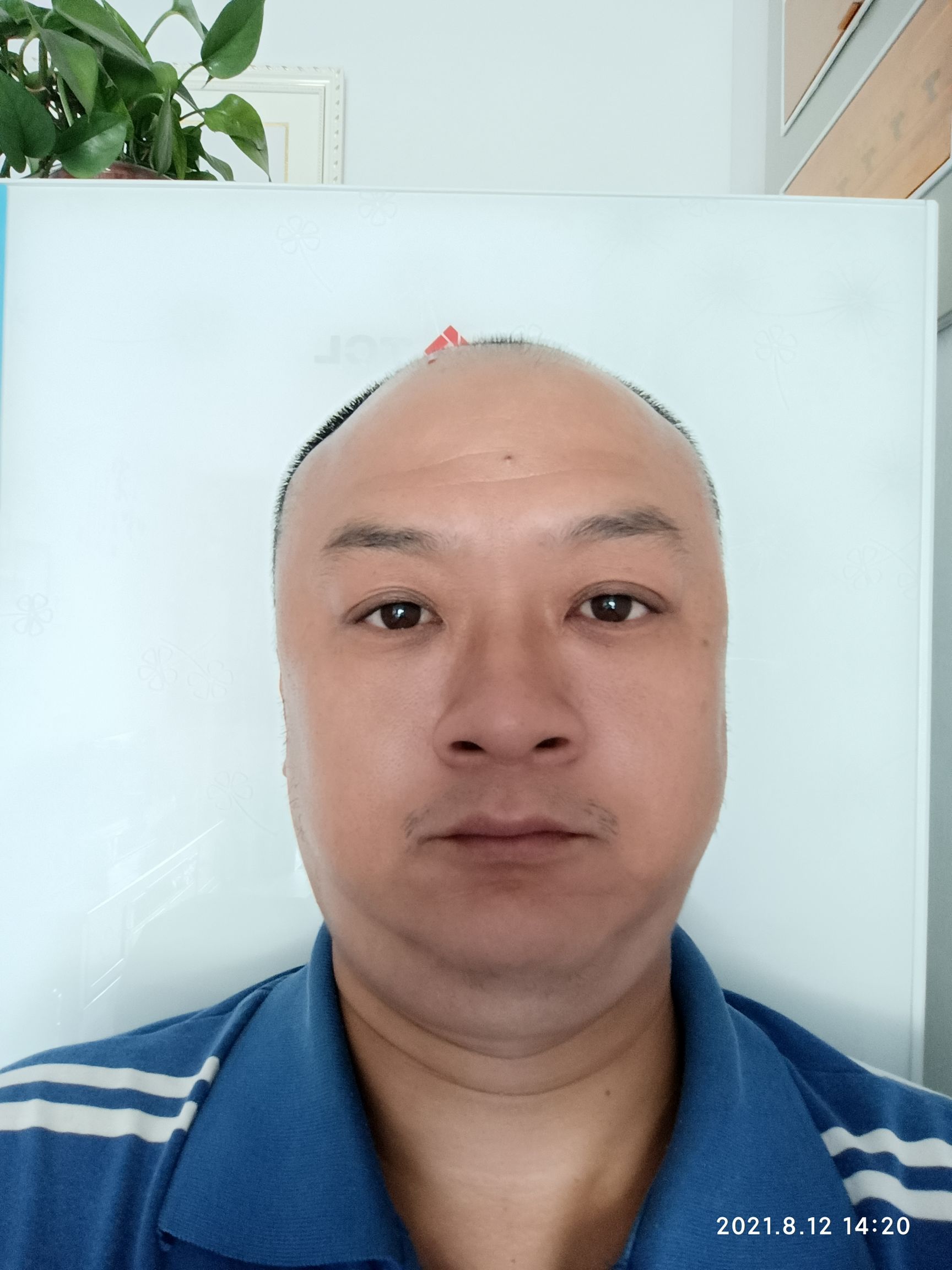 孙和义头像