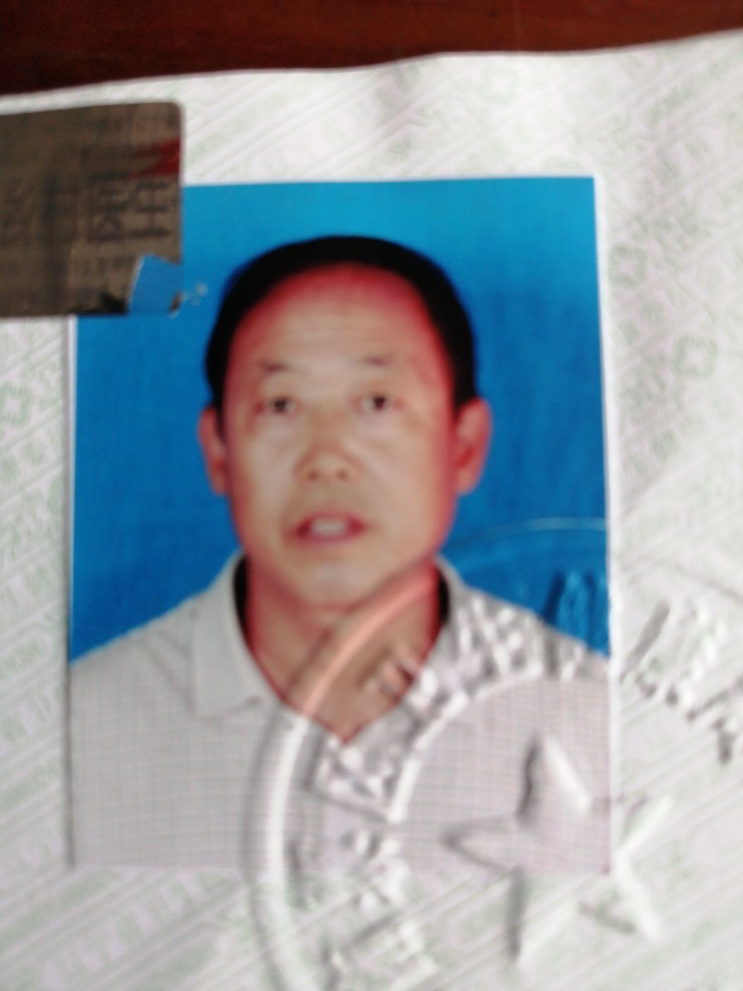 张宝丹头像