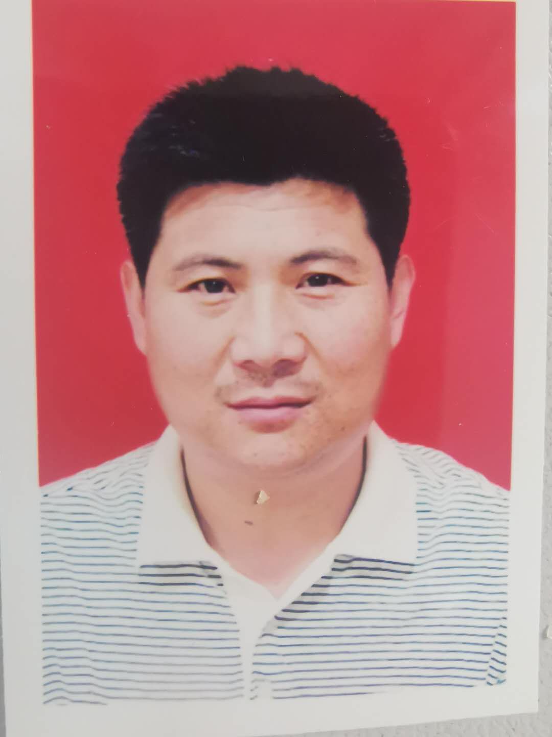 李树志头像
