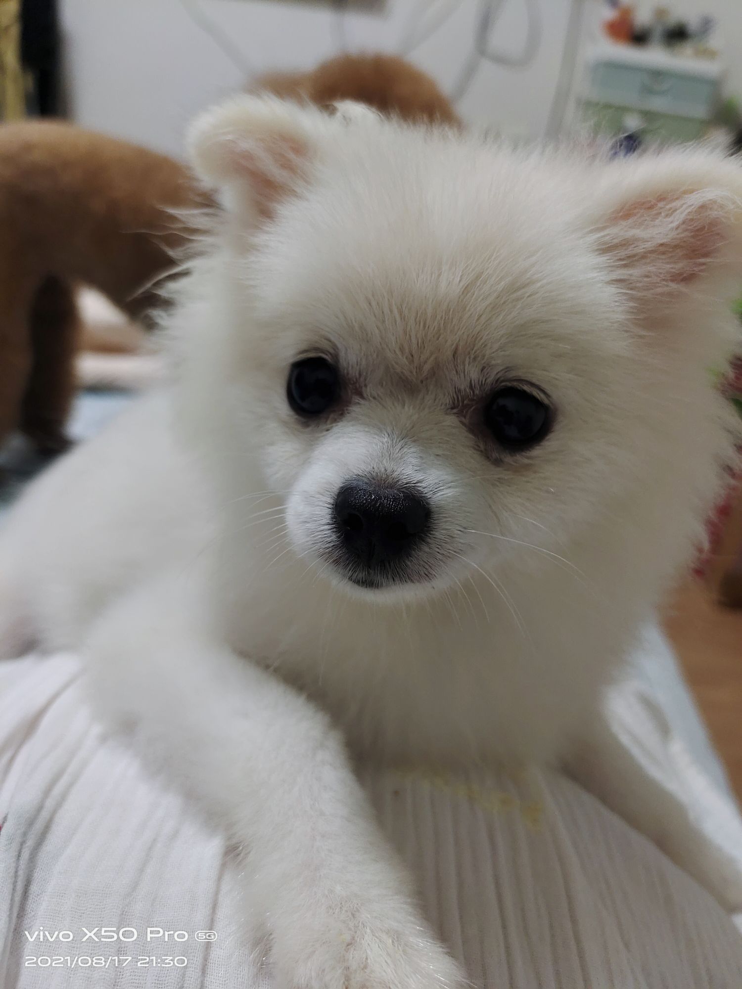 吴庆文头像