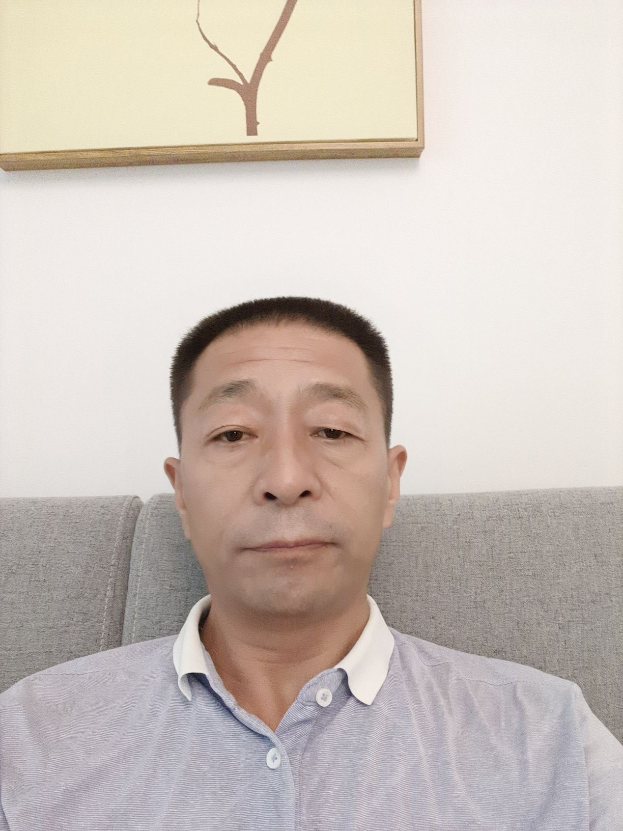 马龙军头像
