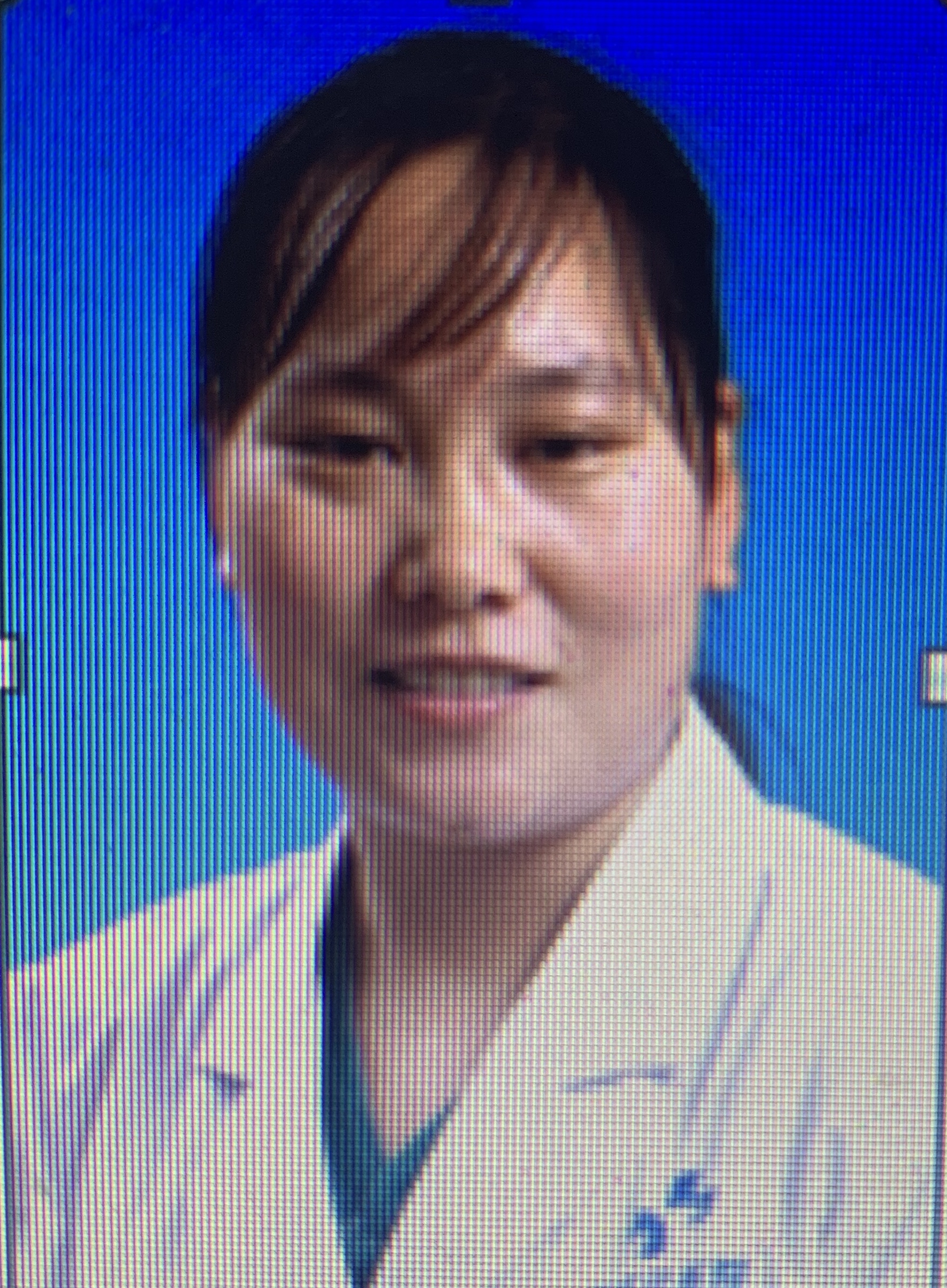 杨红头像