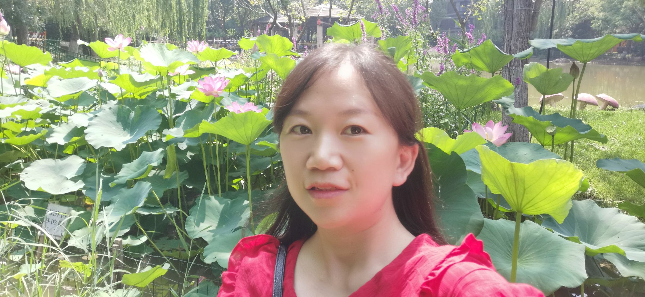 代凤明头像