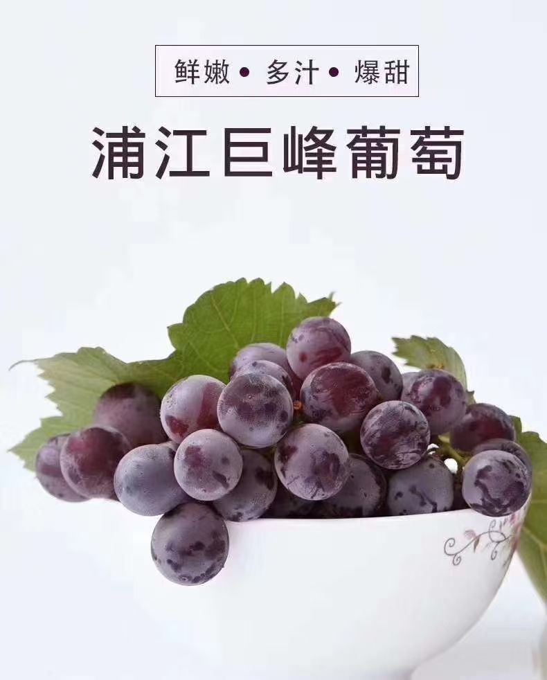 傅一峰头像