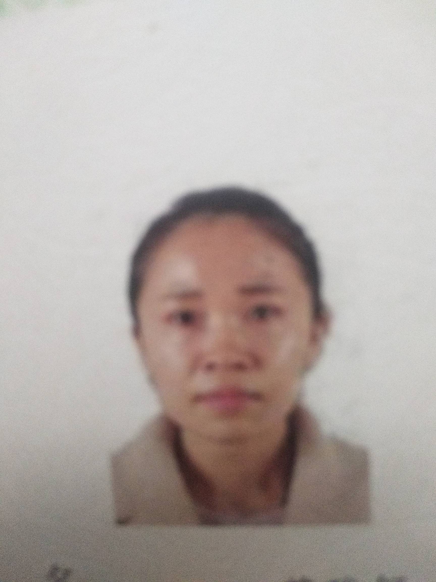 蓝雅舒头像
