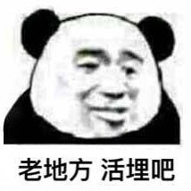 陈英英头像