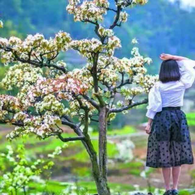 姚爱荣头像