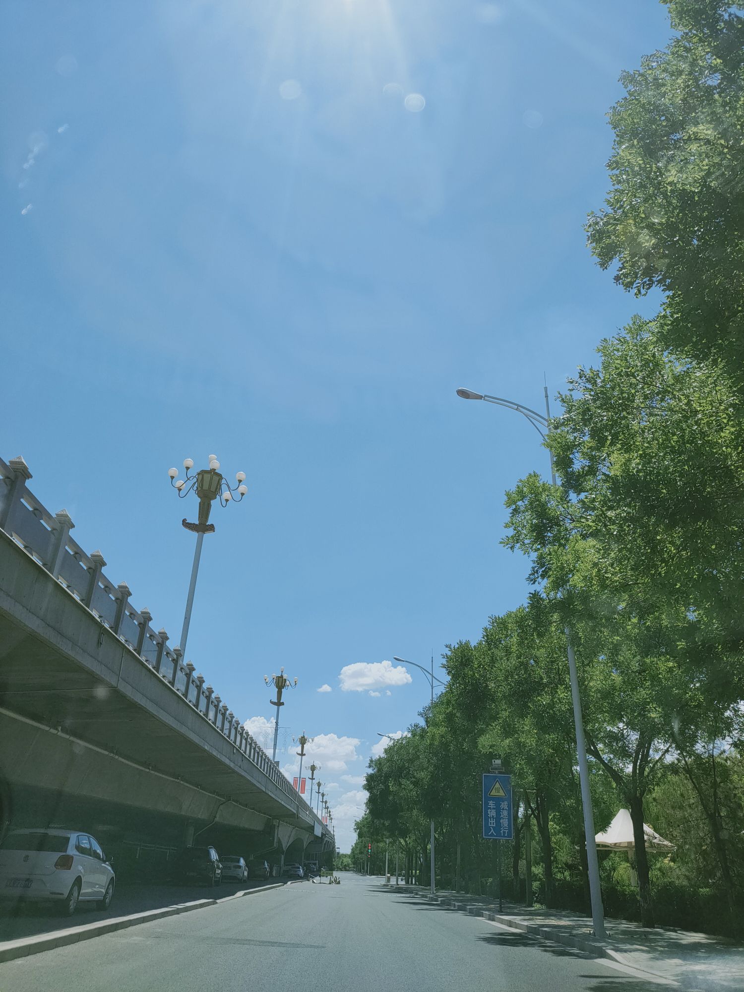白茹头像