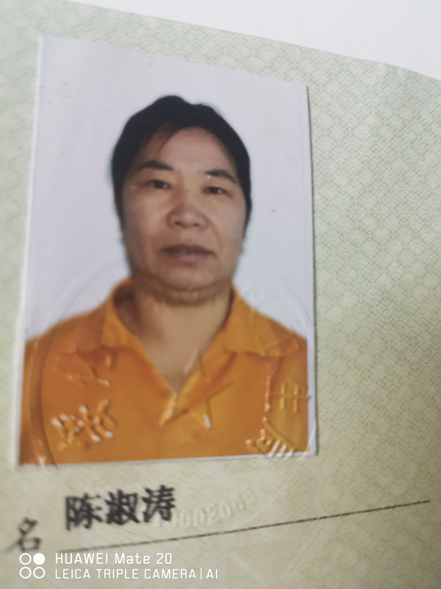 陈淑涛头像