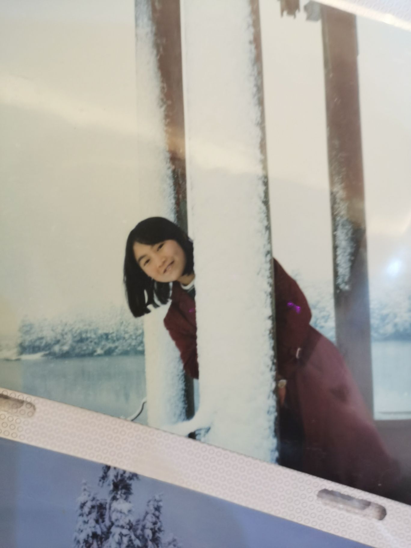 陈金美头像
