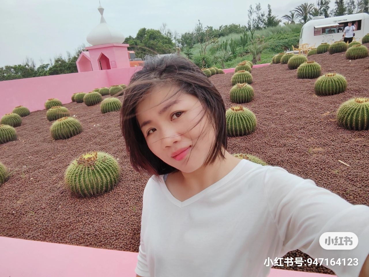 蓝素眉头像