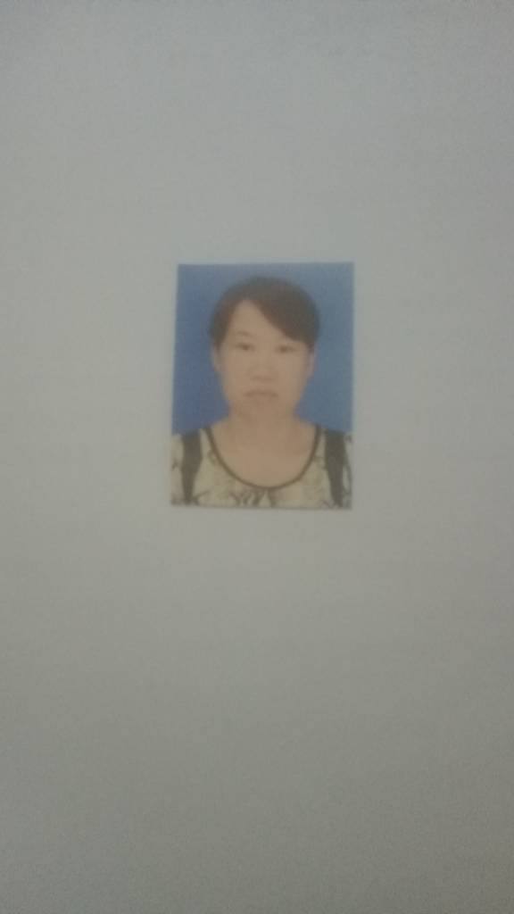 李彩梅头像
