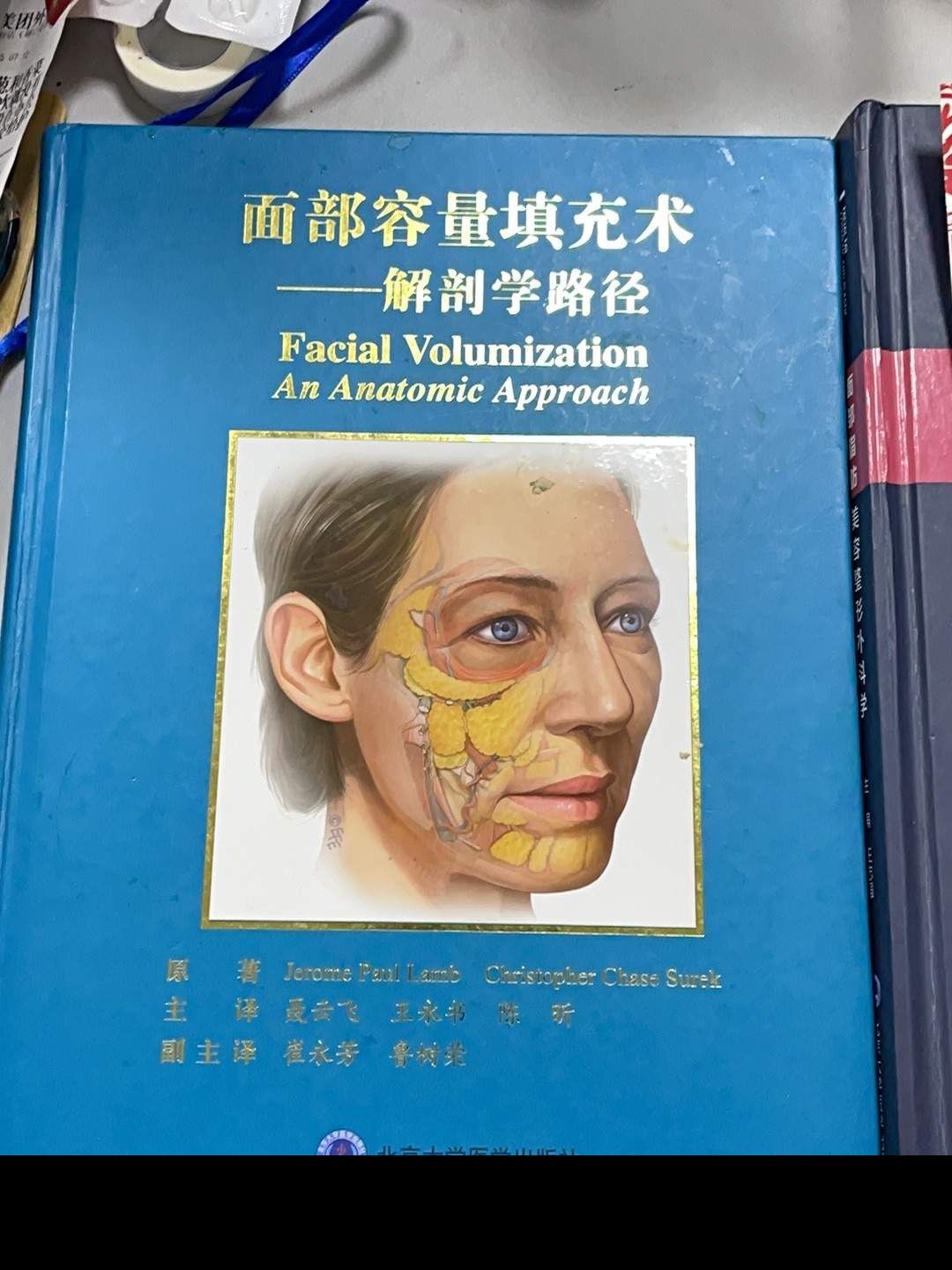 宋春阳头像