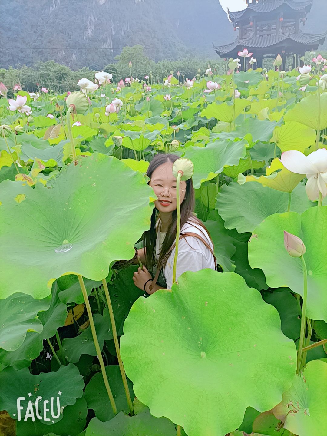 黄清澈头像