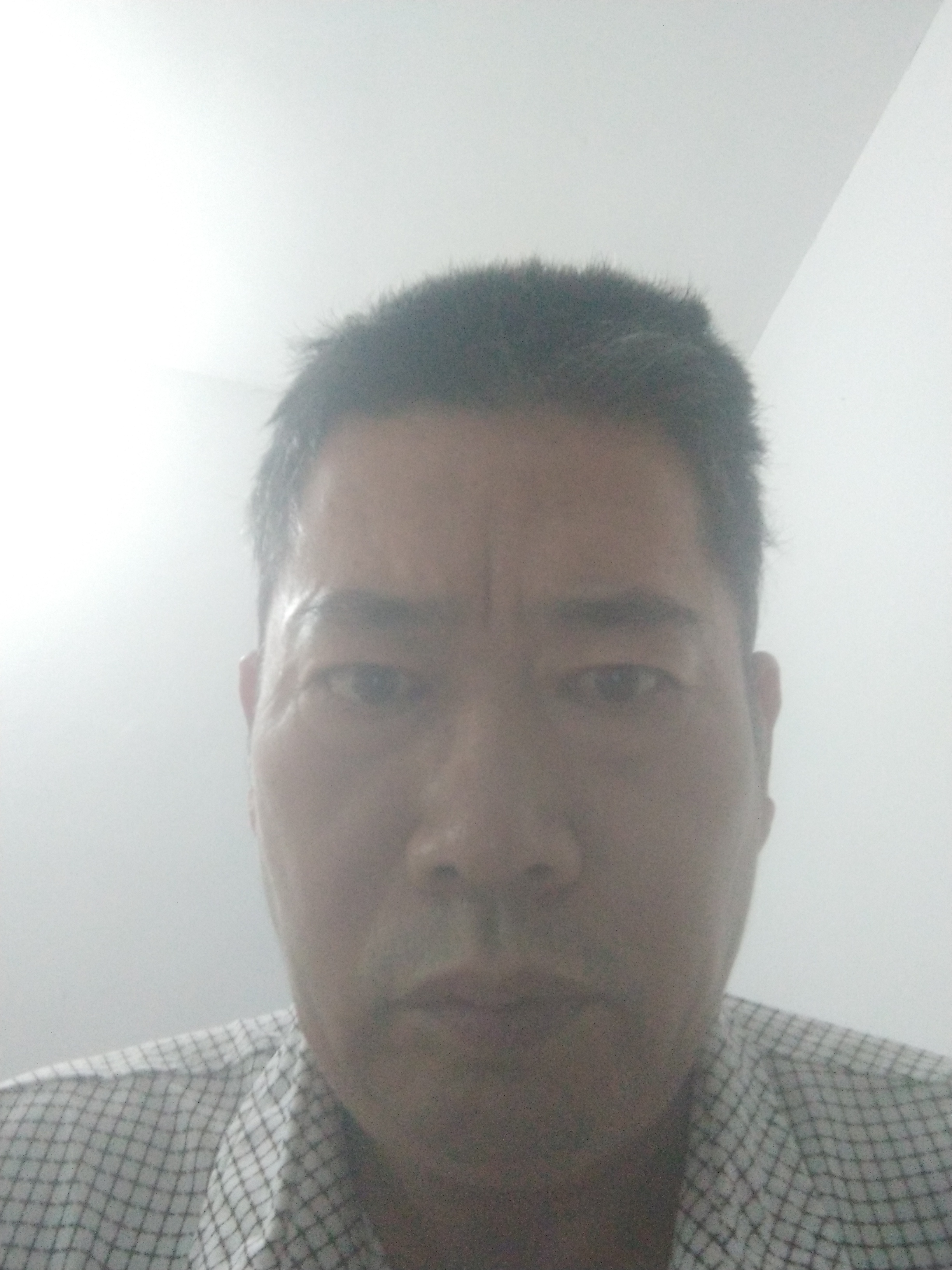杨桢头像