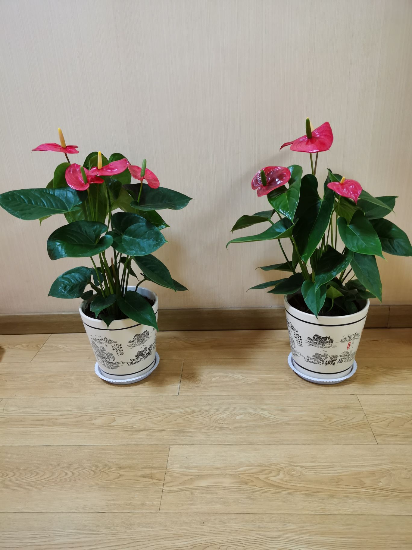 古艳霞头像