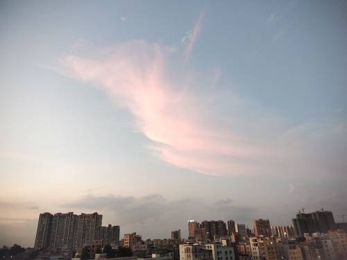 李观妹头像