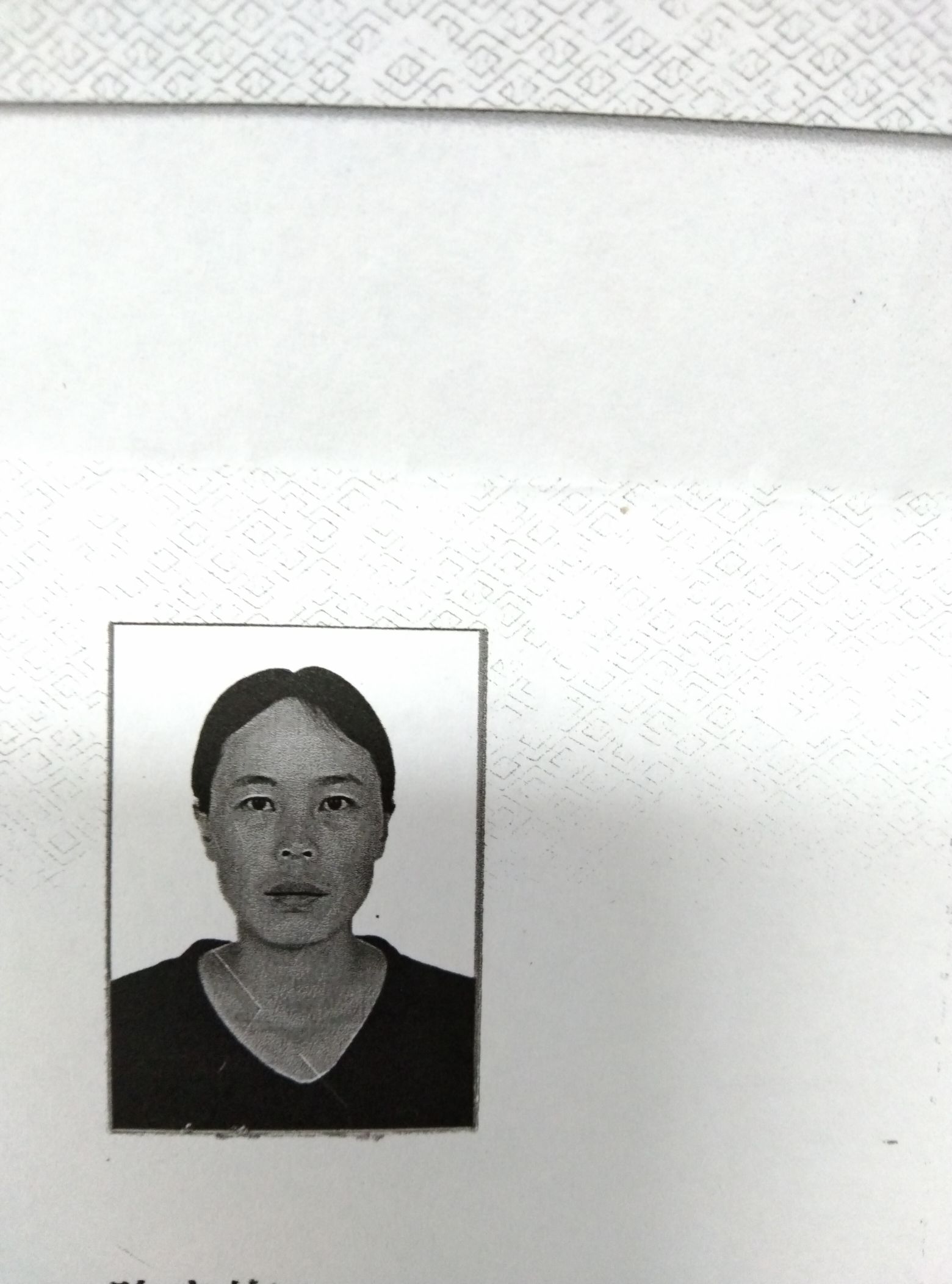 陈光梅头像