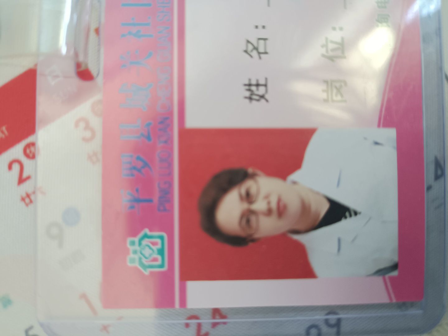 丁秀梅头像