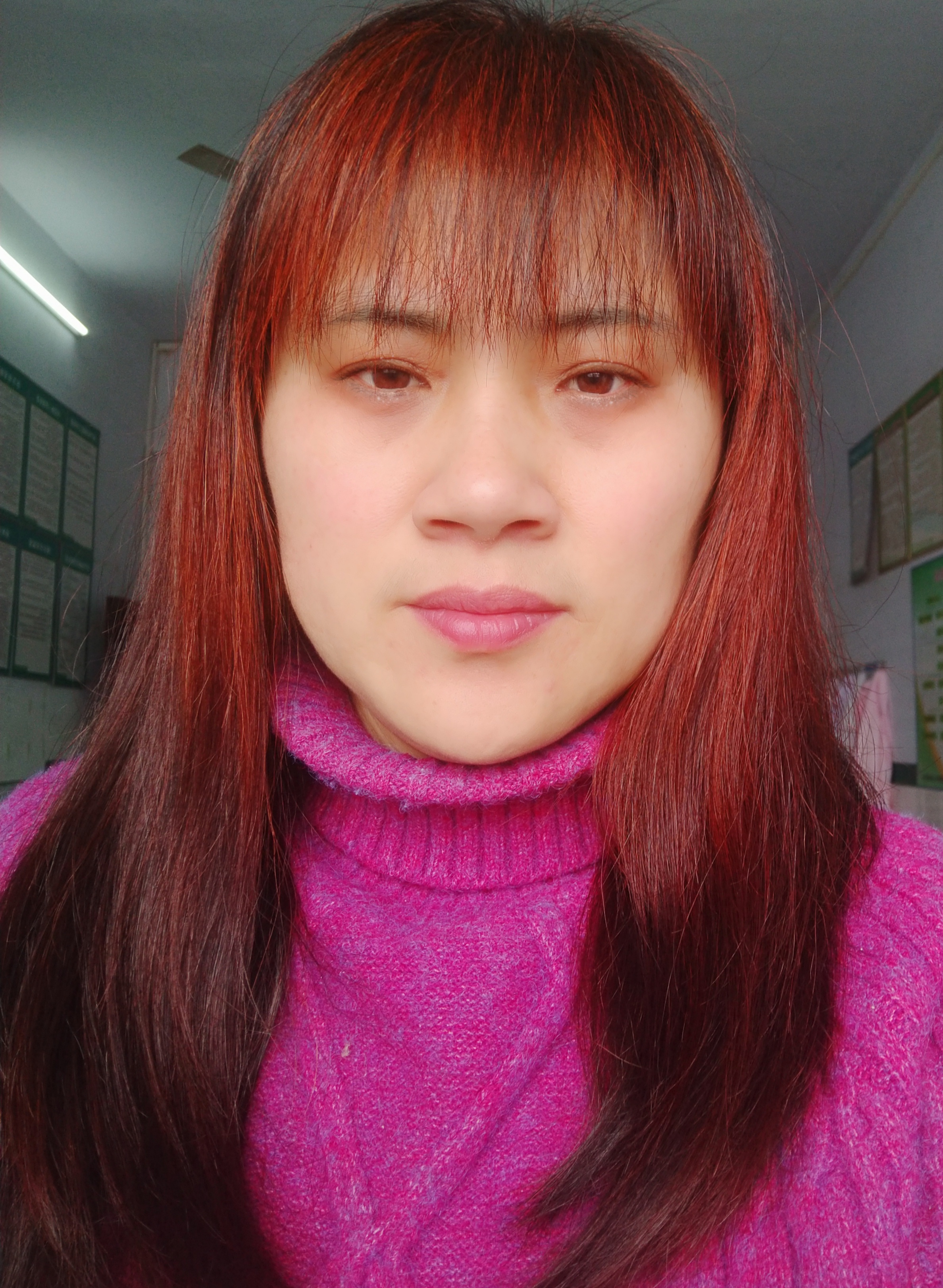 杨虹头像