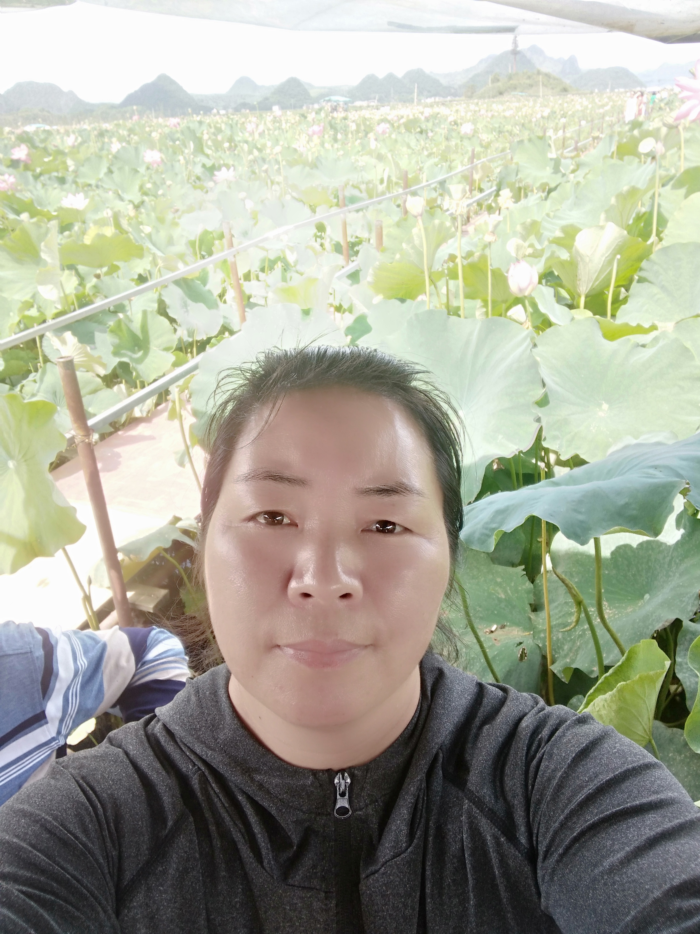 刘红芹头像