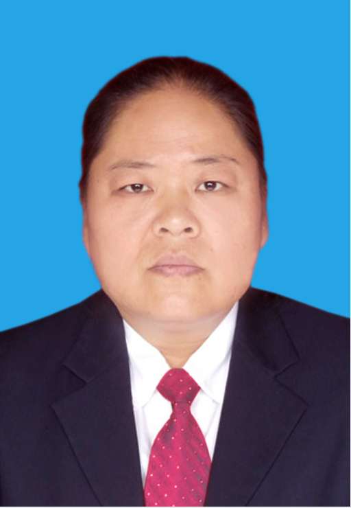 尚红果头像